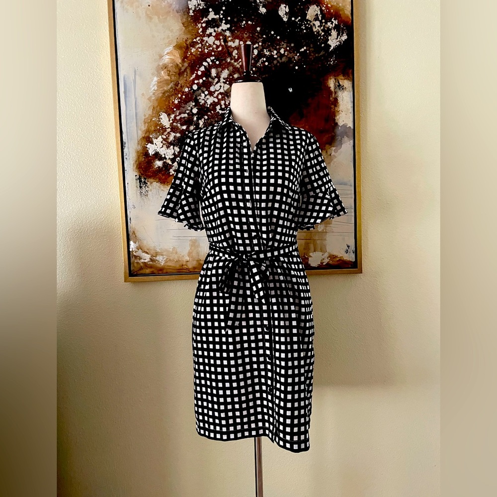 Banana Republic button down with tie closure ruffle sleeve dress SZ 00 P BNWOT